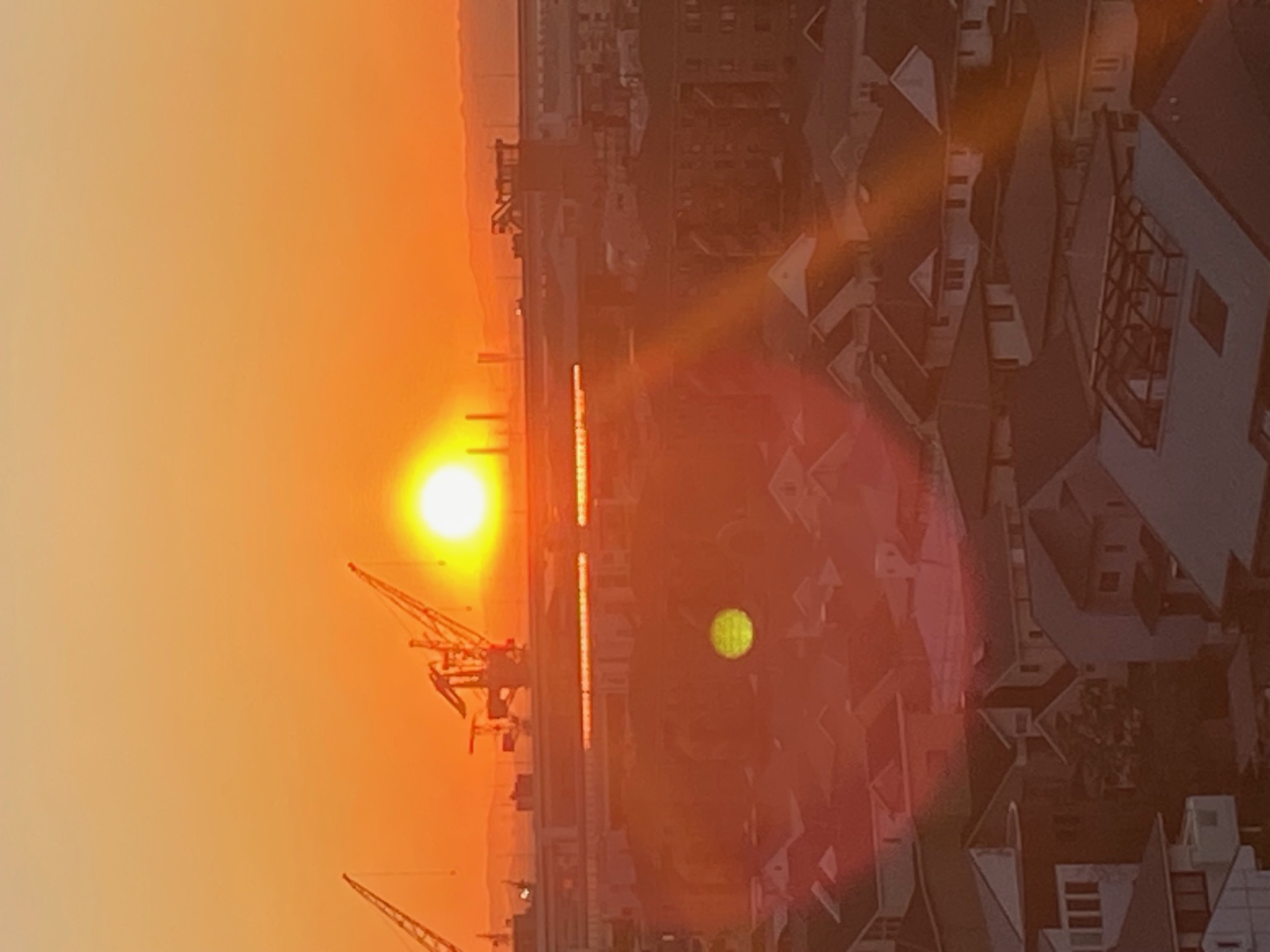 占い師賢龍のお気に入り写真1